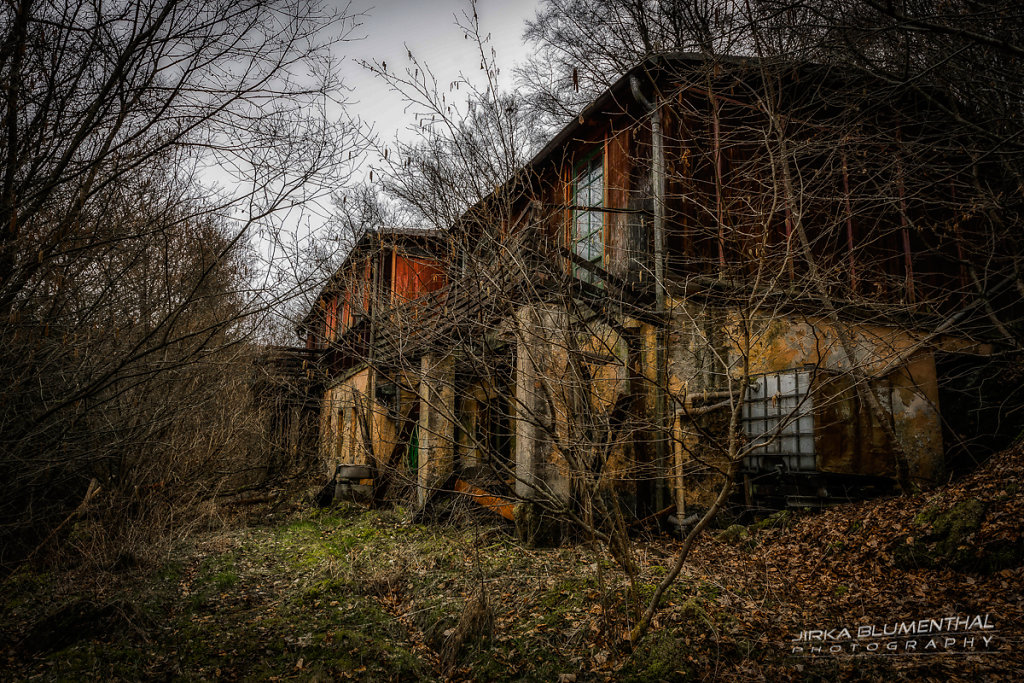 Das einsame Waldhaus #17
